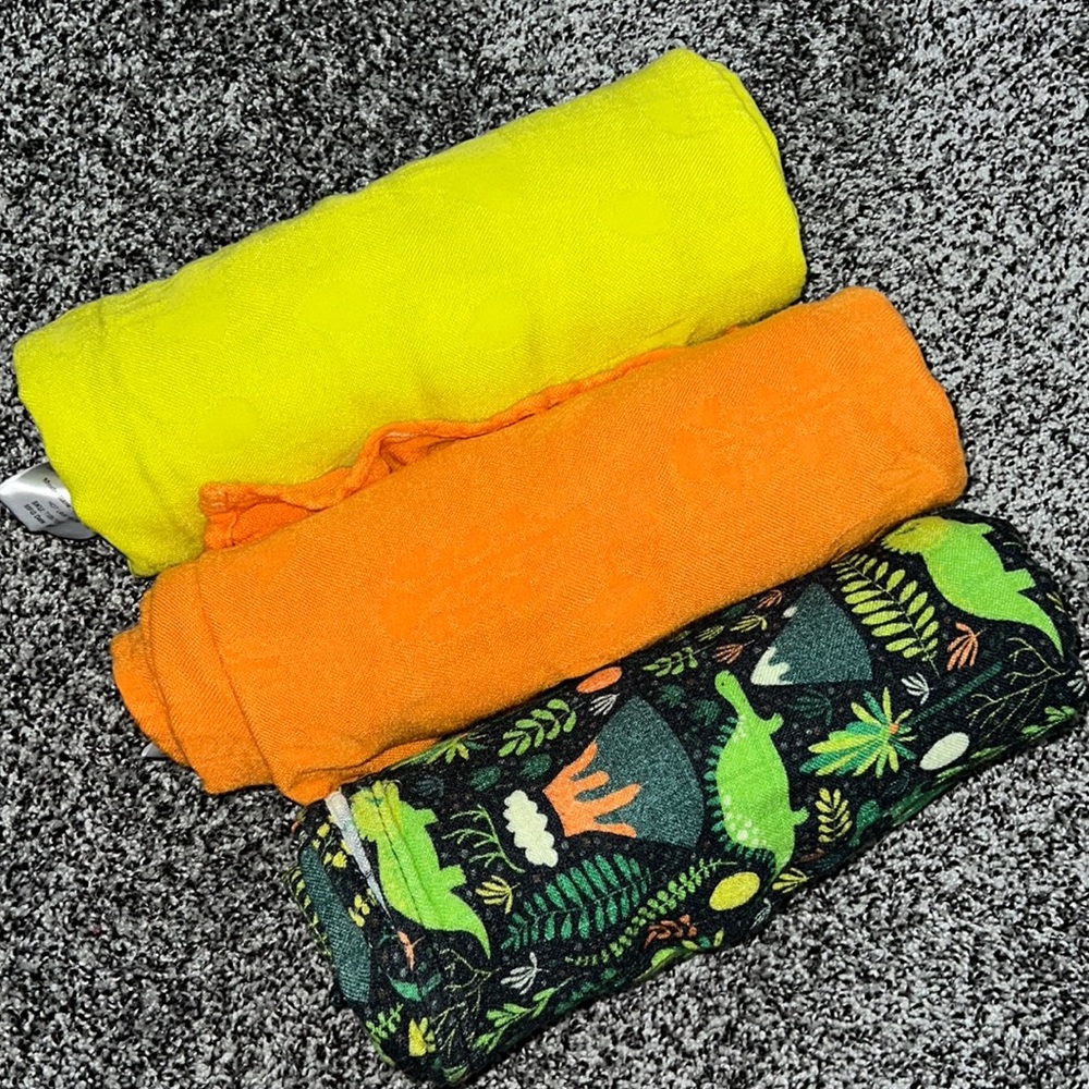 Tula baby dinosaur blanket bundle